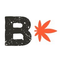 bobygreen_logo
