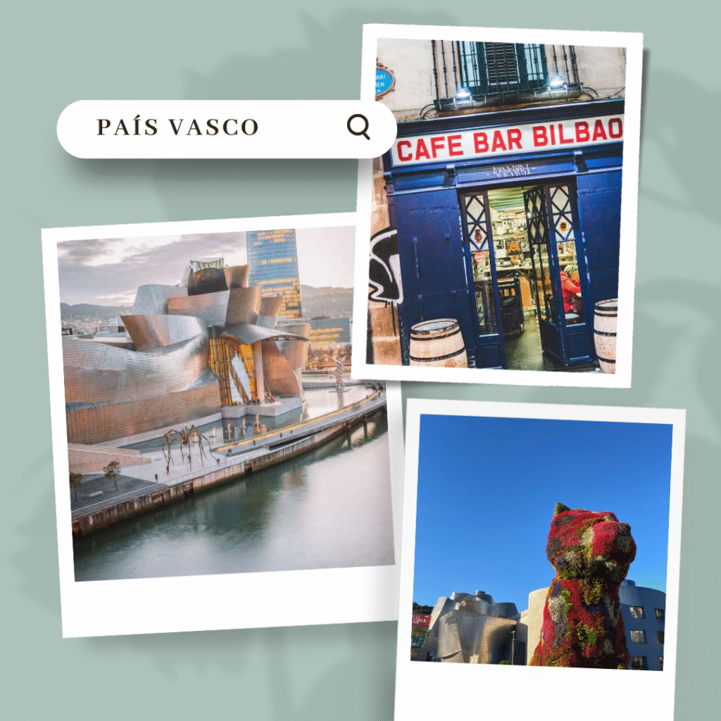 Influencers en Pais Vasco especializados en redes sociales, lifestyle, foodies y campañas de marketing digital – Brilla Influencers y Comunicación.