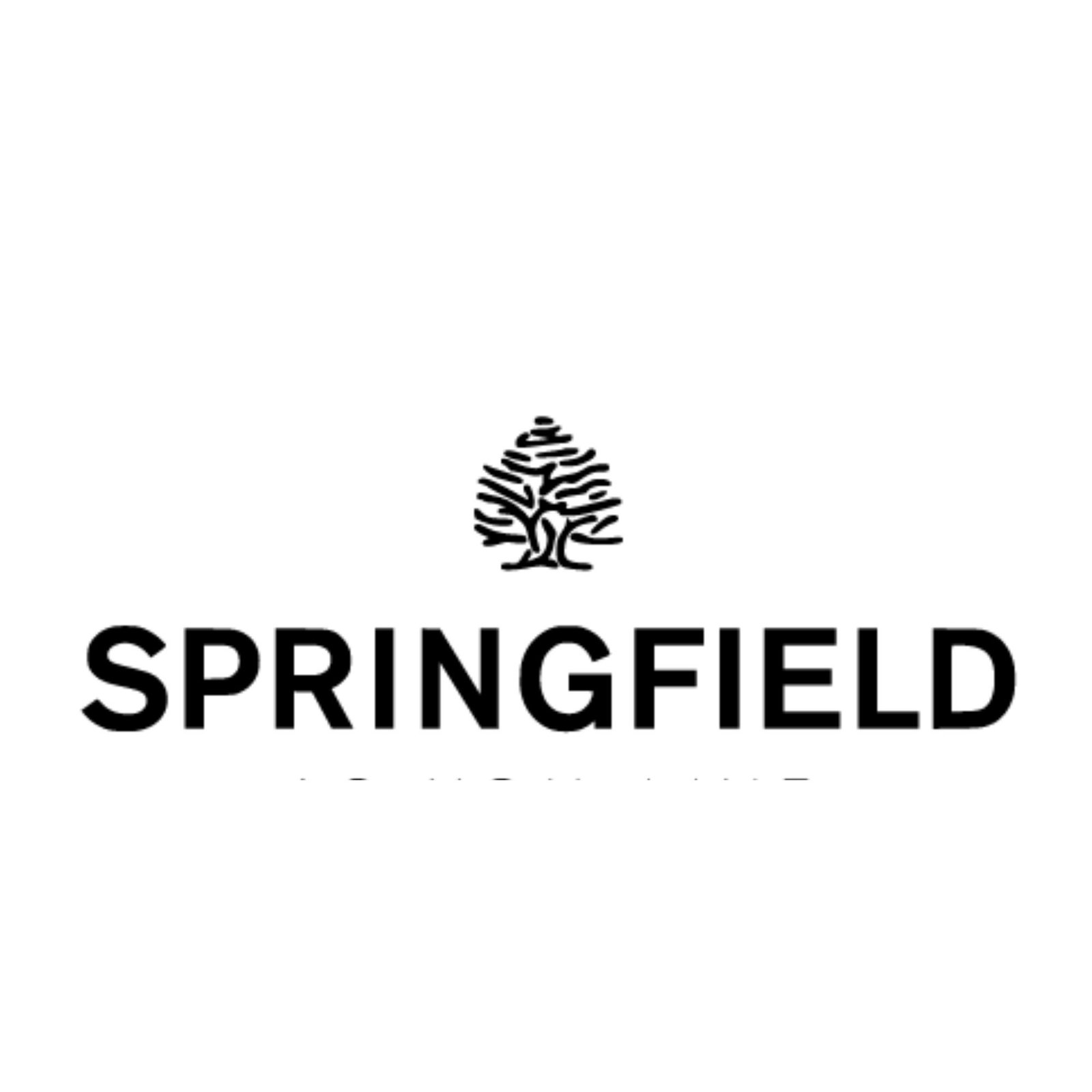 Logo de Springfield, una marca de ropa casual para hombres y mujeres.