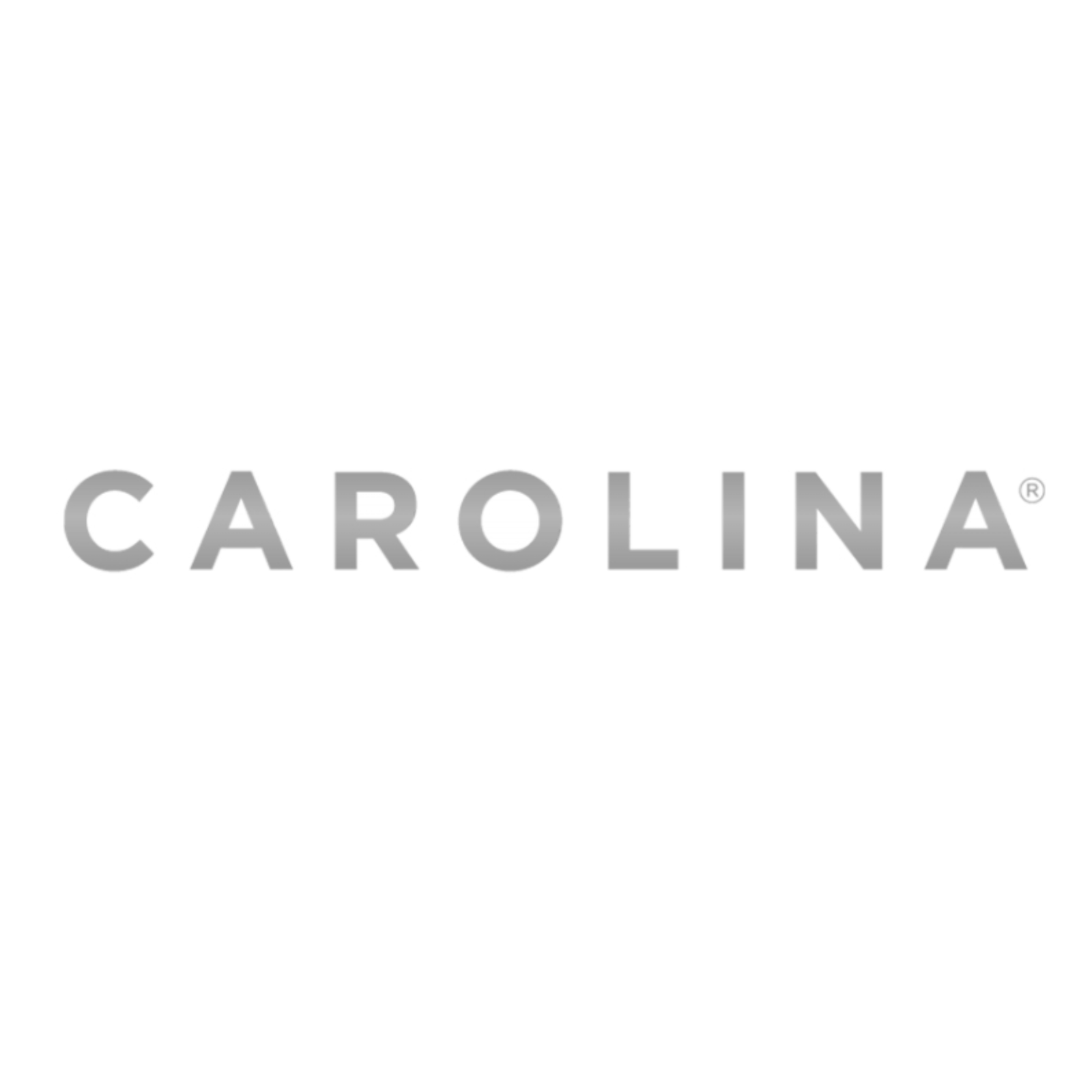 Logo de Carolina, marca que representa estilo, elegancia y diseño de calidad.