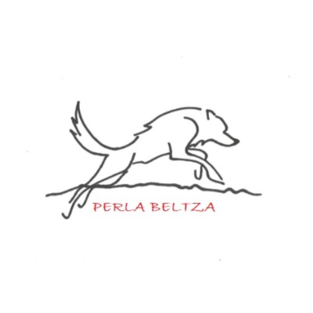 Logo del restaurante Perla Beltza con un dibujo de un lobo saltando sobre una línea, fondo blanco.