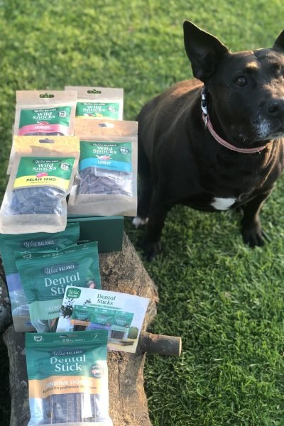 Perro junto a diferentes snacks y productos de alimentación para mascotas | Agencia Brilla.