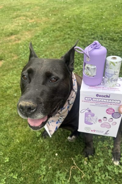 Perro junto a un dispensador de bolsas y productos para paseos de mascotas | Agencia Brilla.