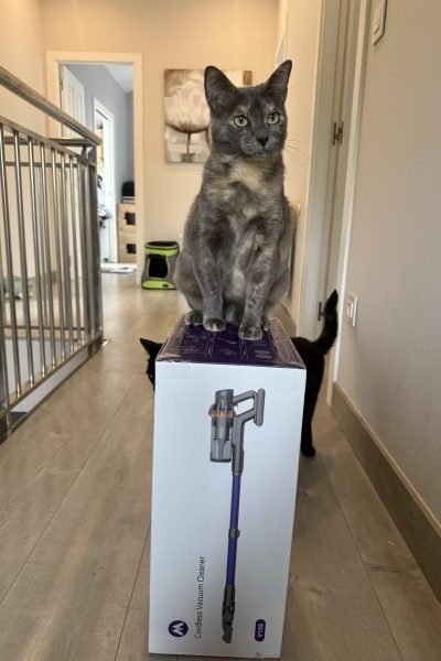Creadora UGC mostrando una aspiradora inalámbrica en un hogar con mascotas | Agencia Brilla.
