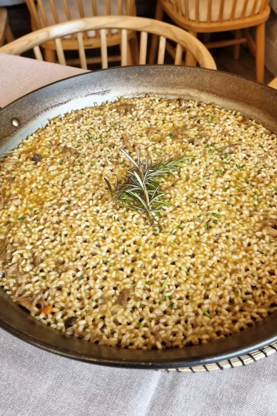 Risotto con una ramita de romero servido en un plato, mostrando su textura cremosa.