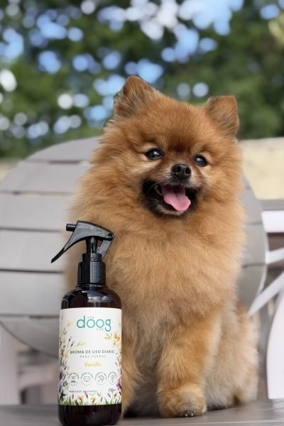 Perro junto a una bruma de uso diario The Doog Life fotografiado por María Santiago Insua – Agencia Brilla.