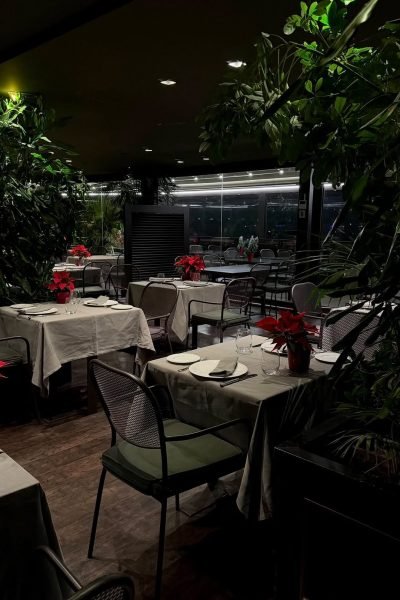 Ana Ayúcar mostrando la ambientación de un restaurante elegante con mesas bien dispuestas y decoración natural.