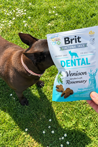 UGC de Begoña Muiño García mostrando snacks dentales para perros de Brit | Agencia Brilla Influencers.